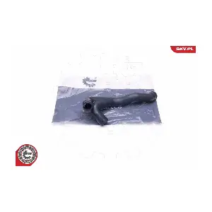 31SKV135 ESEN SKV