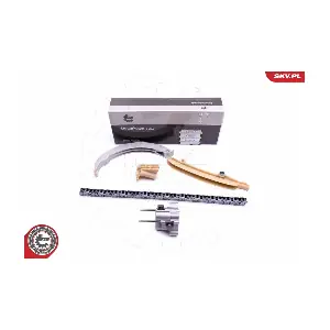 21SKV164 ESEN SKV