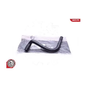 24SKV389 ESEN SKV