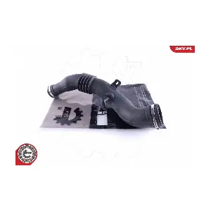 43SKV298 ESEN SKV