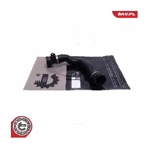 54SKV483 ESEN SKV