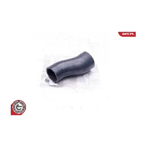 24SKV709 ESEN SKV