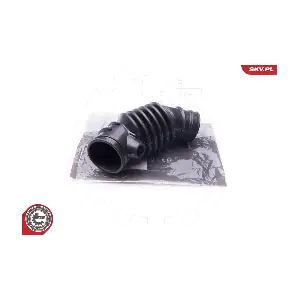 24SKV456 ESEN SKV