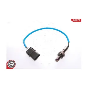 09SKV016 ESEN SKV