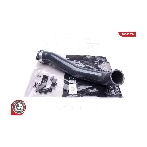 43SKV217 ESEN SKV