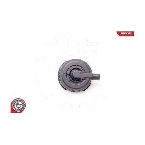 31SKV023 ESEN SKV