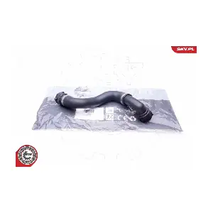 24SKV266 ESEN SKV