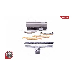 21SKV138 ESEN SKV