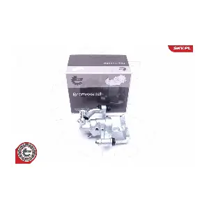42SKV813 ESEN SKV