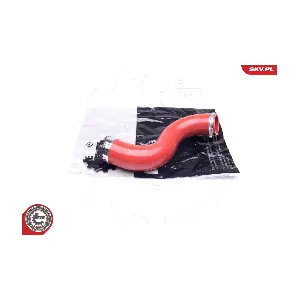 24SKV810 ESEN SKV
