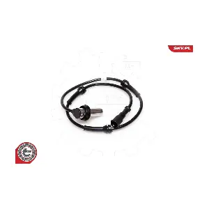 06SKV173 ESEN SKV
