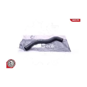 43SKV717 ESEN SKV