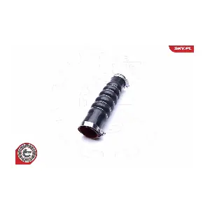 24SKV779 ESEN SKV