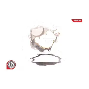 18SKV007 ESEN SKV