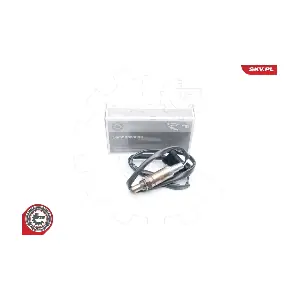 09SKV596 ESEN SKV