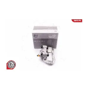 23SKV481 ESEN SKV