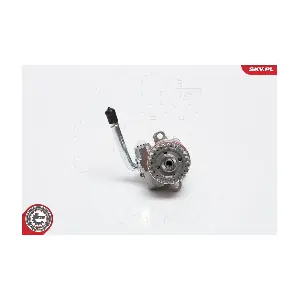 10SKV136 ESEN SKV