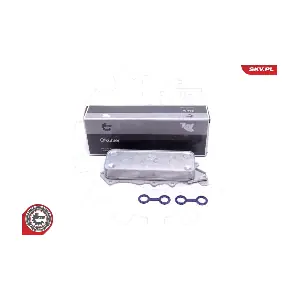 31SKV217 ESEN SKV