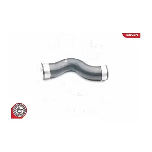 24SKV049 ESEN SKV