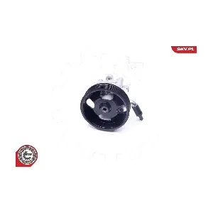 10SKV275 ESEN SKV