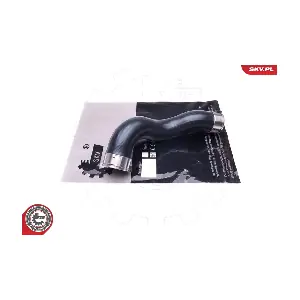 43SKV233 ESEN SKV