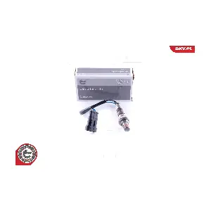 ESEN SKV 09SKV551