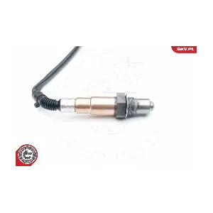 09SKV621 ESEN SKV