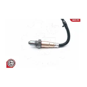 09SKV867 ESEN SKV