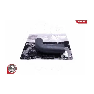 43SKV169 ESEN SKV