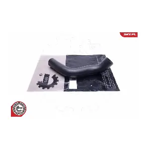 24SKV559 ESEN SKV