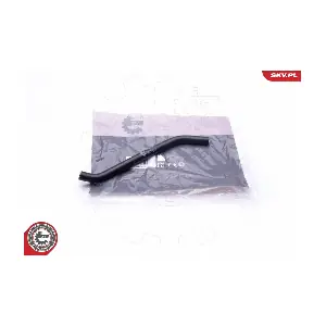 31SKV119 ESEN SKV