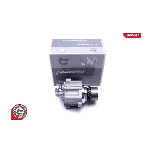 18SKV054 ESEN SKV