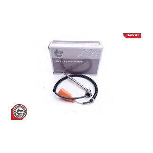 30SKV207 ESEN SKV