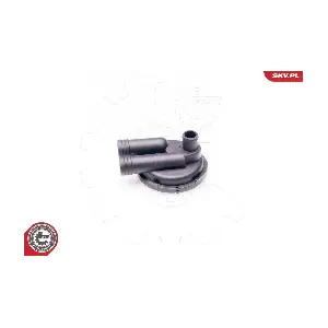31SKV011 ESEN SKV