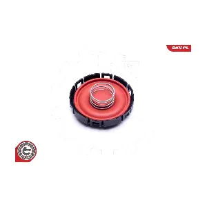 31SKV142 ESEN SKV