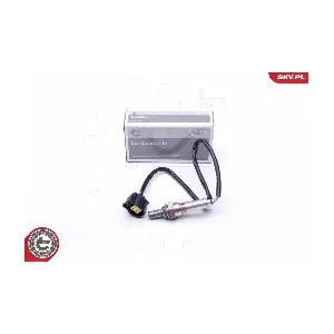 09SKV727 ESEN SKV