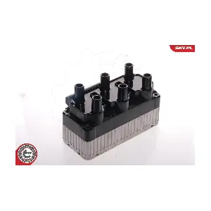 ESEN SKV 03SKV049
