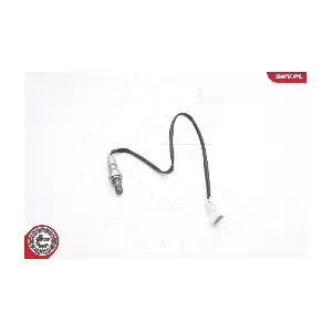 ESEN SKV 09SKV673