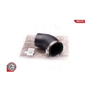 24SKV176 ESEN SKV