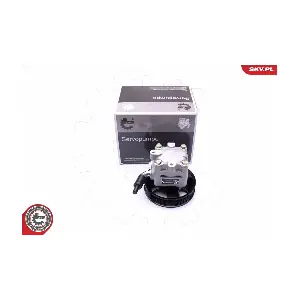 10SKV277 ESEN SKV