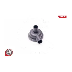 31SKV010 ESEN SKV