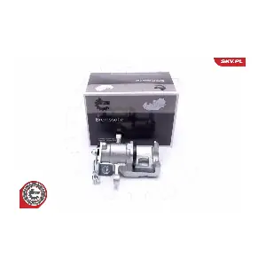 56SKV123 ESEN SKV