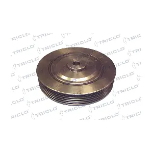 TRICLO 425187