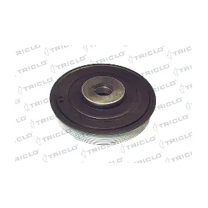 TRICLO 421219