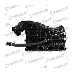 392021 TRICLO
