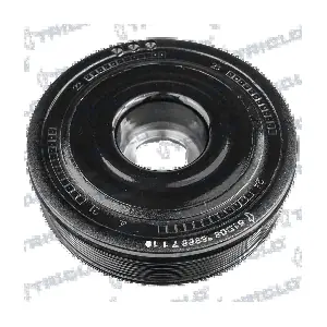 425069 TRICLO