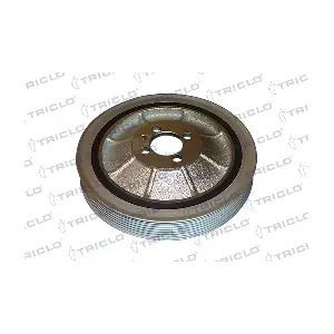 427010 TRICLO