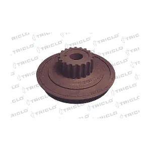 TRICLO 428124