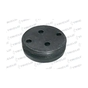 322625 TRICLO