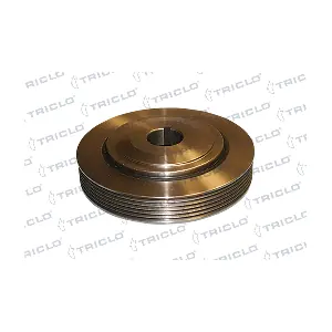 421228 TRICLO